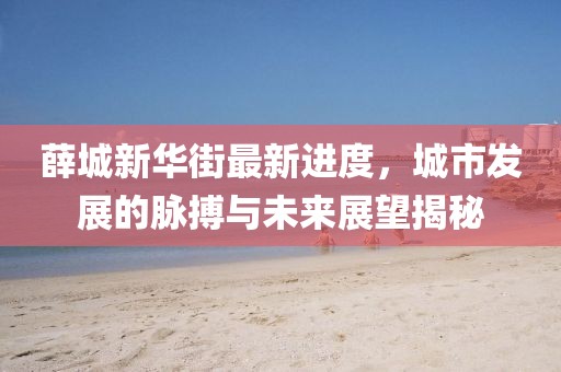 薛城新華街最新進(jìn)度，城市發(fā)展的脈搏與未來展望揭秘