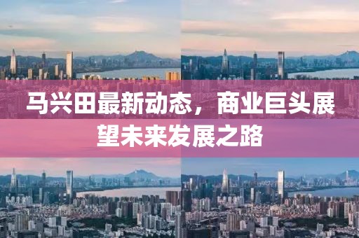 馬興田最新動態(tài)，商業(yè)巨頭展望未來發(fā)展之路