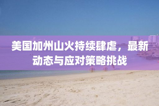 美國(guó)加州山火持續(xù)肆虐，最新動(dòng)態(tài)與應(yīng)對(duì)策略挑戰(zhàn)