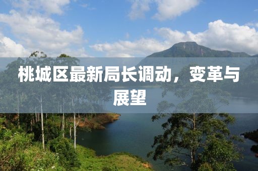 桃城區(qū)最新局長(zhǎng)調(diào)動(dòng)，變革與展望