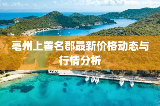 亳州上善名郡最新價格動態(tài)與行情分析
