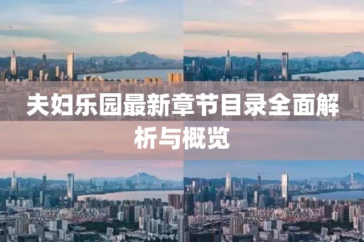 夫婦樂(lè)園最新章節(jié)目錄全面解析與概覽