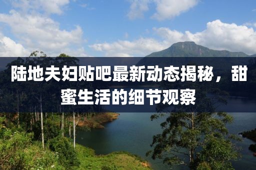 陸地夫婦貼吧最新動態(tài)揭秘，甜蜜生活的細(xì)節(jié)觀察