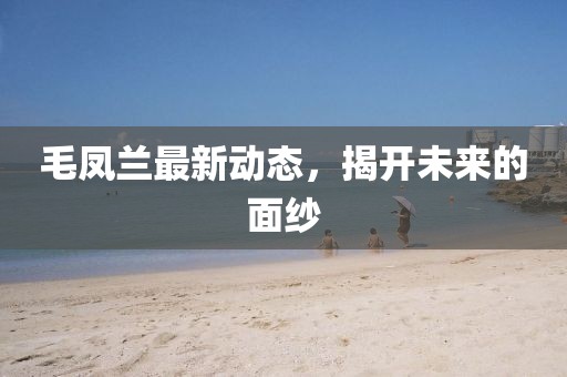 毛鳳蘭最新動(dòng)態(tài)，揭開未來的面紗
