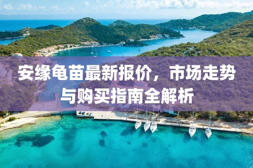 安緣龜苗最新報價，市場走勢與購買指南全解析