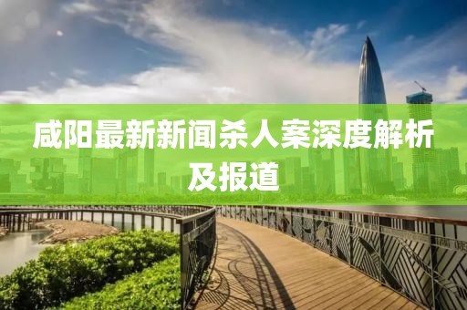 咸陽最新新聞殺人案深度解析及報道