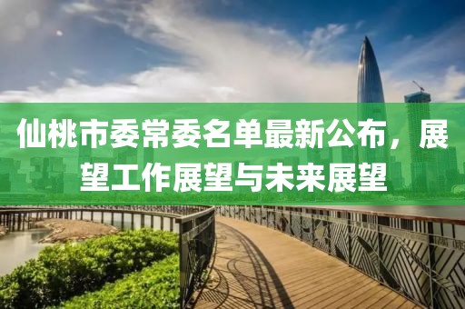 仙桃市委常委名單最新公布，展望工作展望與未來展望