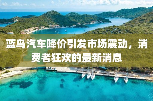 藍(lán)鳥汽車降價引發(fā)市場震動，消費者狂歡的最新消息