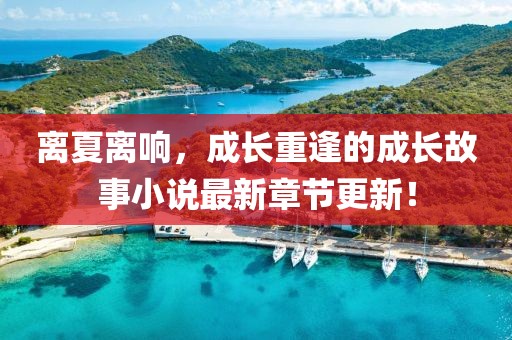 離夏離響，成長重逢的成長故事小說最新章節(jié)更新！