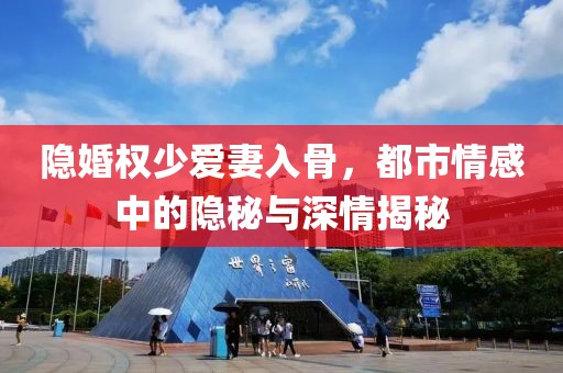 隱婚權(quán)少愛妻入骨，都市情感中的隱秘與深情揭秘