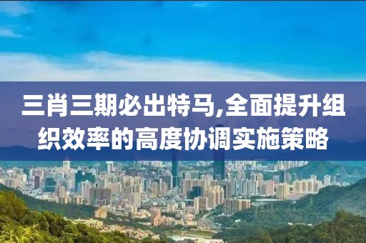 三肖三期必出特馬,全面提升組織效率的高度協(xié)調(diào)實(shí)施策略