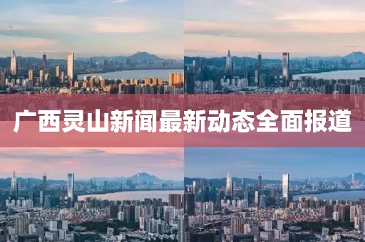廣西靈山新聞最新動(dòng)態(tài)全面報(bào)道