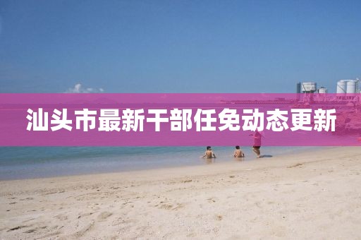 汕頭市最新干部任免動態(tài)更新