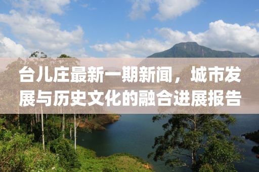 臺兒莊最新一期新聞，城市發(fā)展與歷史文化的融合進(jìn)展報告
