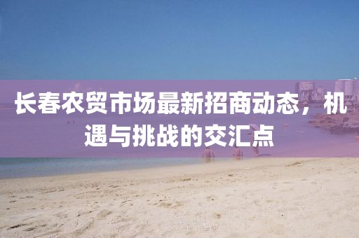 長春農(nóng)貿(mào)市場最新招商動態(tài)，機遇與挑戰(zhàn)的交匯點