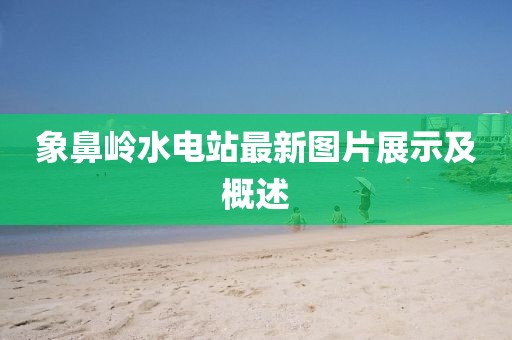 象鼻嶺水電站最新圖片展示及概述