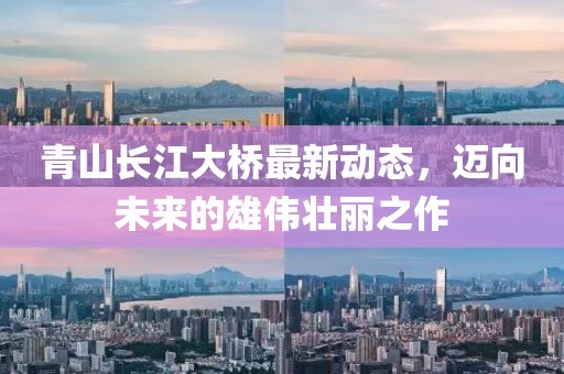 青山長(zhǎng)江大橋最新動(dòng)態(tài)，邁向未來(lái)的雄偉壯麗之作