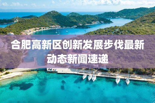 合肥高新區(qū)創(chuàng)新發(fā)展步伐最新動(dòng)態(tài)新聞速遞