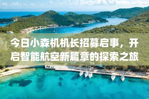 今日小森機機長招募啟事，開啟智能航空新篇章的探索之旅