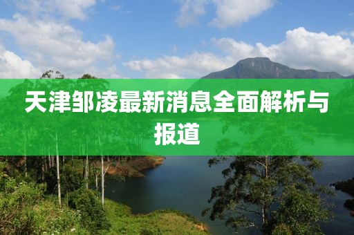 天津鄒凌最新消息全面解析與報道