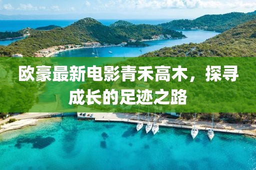 歐豪最新電影青禾高木，探尋成長的足跡之路