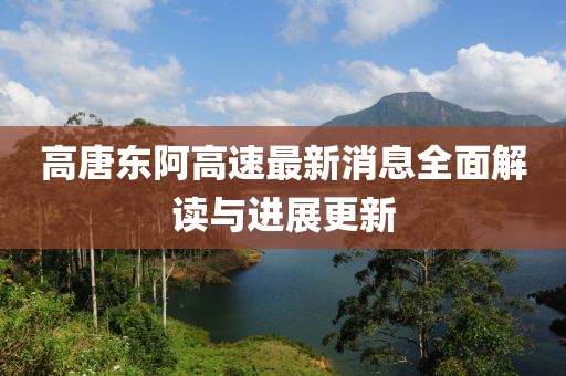 高唐東阿高速最新消息全面解讀與進展更新
