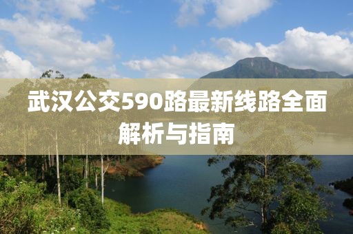 武漢公交590路最新線路全面解析與指南