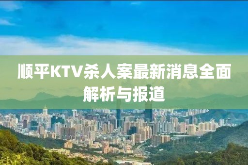 順平KTV殺人案最新消息全面解析與報道
