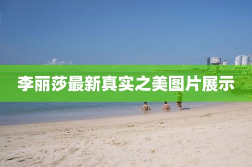 李麗莎最新真實(shí)之美圖片展示