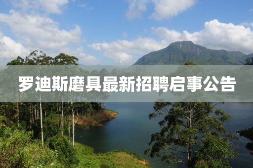 羅迪斯磨具最新招聘啟事公告