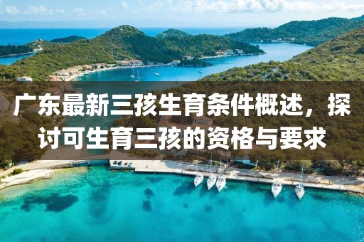 廣東最新三孩生育條件概述，探討可生育三孩的資格與要求