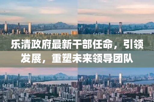 樂(lè)清政府最新干部任命，引領(lǐng)發(fā)展，重塑未來(lái)領(lǐng)導(dǎo)團(tuán)隊(duì)