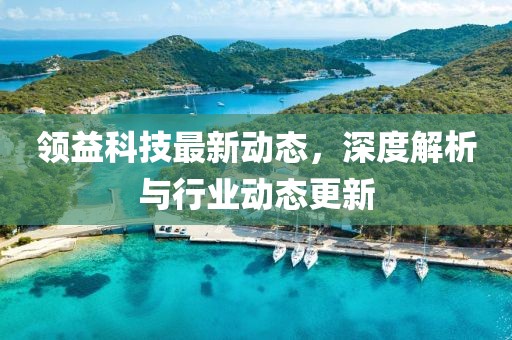領(lǐng)益科技最新動態(tài)，深度解析與行業(yè)動態(tài)更新