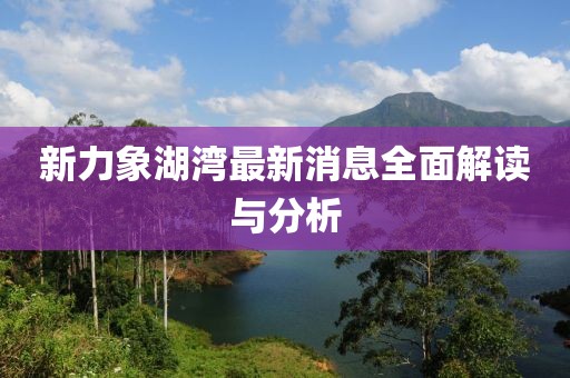 新力象湖灣最新消息全面解讀與分析