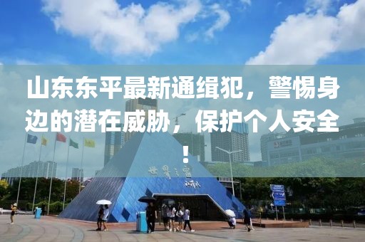 山東東平最新通緝犯，警惕身邊的潛在威脅，保護個人安全！