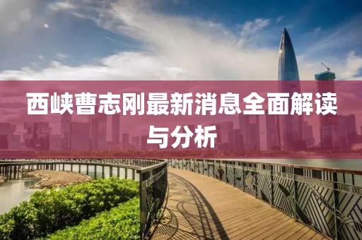 西峽曹志剛最新消息全面解讀與分析
