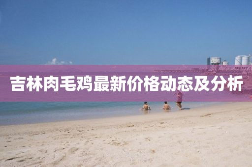 吉林肉毛雞最新價格動態(tài)及分析