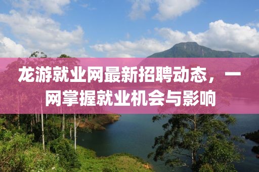 龍游就業(yè)網(wǎng)最新招聘動態(tài)，一網(wǎng)掌握就業(yè)機(jī)會與影響