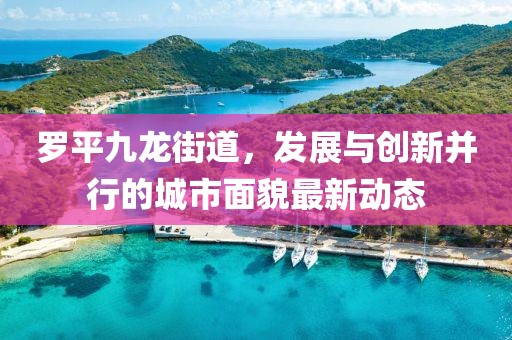 羅平九龍街道，發(fā)展與創(chuàng)新并行的城市面貌最新動(dòng)態(tài)
