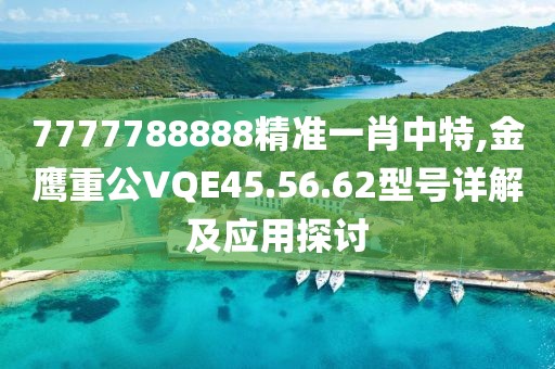 7777788888精準(zhǔn)一肖中特,金鷹重公VQE45.56.62型號詳解及應(yīng)用探討