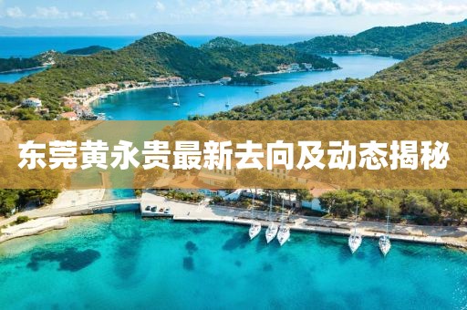 東莞黃永貴最新去向及動態(tài)揭秘