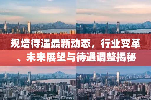 規(guī)培待遇最新動態(tài)，行業(yè)變革、未來展望與待遇調(diào)整揭秘