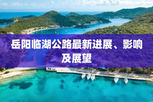 岳陽(yáng)臨湖公路最新進(jìn)展、影響及展望