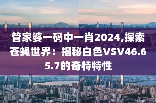 管家婆一碼中一肖2024,探索蒼蠅世界：揭秘白色VSV46.65.7的奇特特性