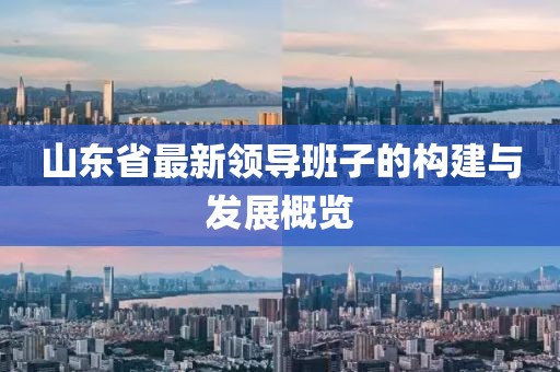 山東省最新領(lǐng)導(dǎo)班子的構(gòu)建與發(fā)展概覽