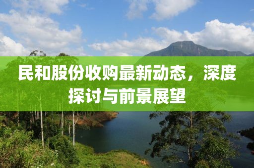 民和股份收購最新動(dòng)態(tài)，深度探討與前景展望