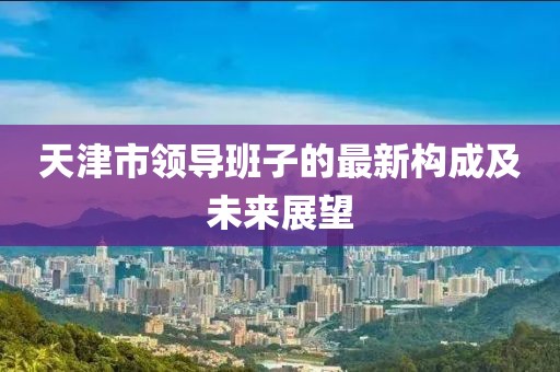 天津市領(lǐng)導(dǎo)班子的最新構(gòu)成及未來展望