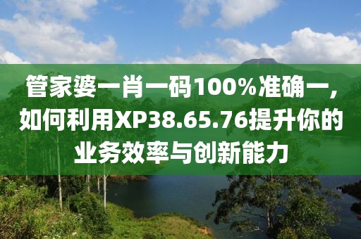 管家婆一肖一碼100%準(zhǔn)確一,如何利用XP38.65.76提升你的業(yè)務(wù)效率與創(chuàng)新能力