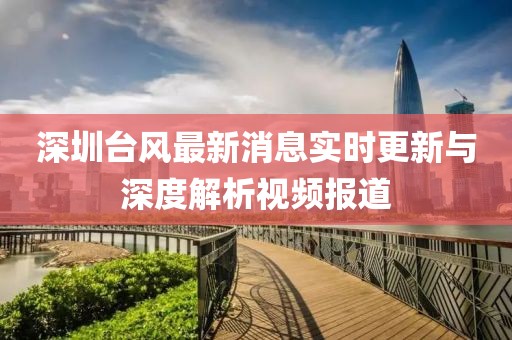 深圳臺(tái)風(fēng)最新消息實(shí)時(shí)更新與深度解析視頻報(bào)道