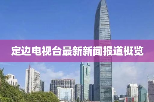 定邊電視臺(tái)最新新聞報(bào)道概覽